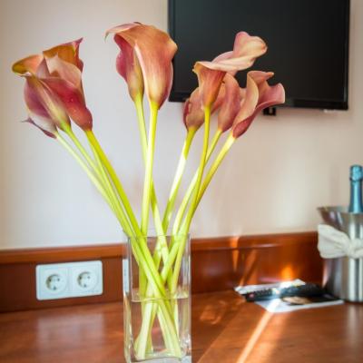 Unsere Zimmer 20